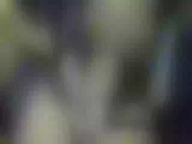 Live sex webcam photo for AlphaWoman #253722128