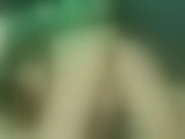 Live sex webcam photo for Alexajoyy #252289778