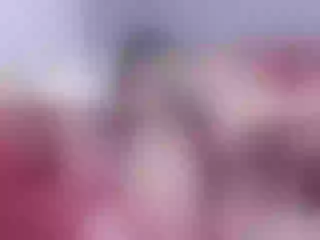 Live sex webcam photo for EvaCollins #241308320