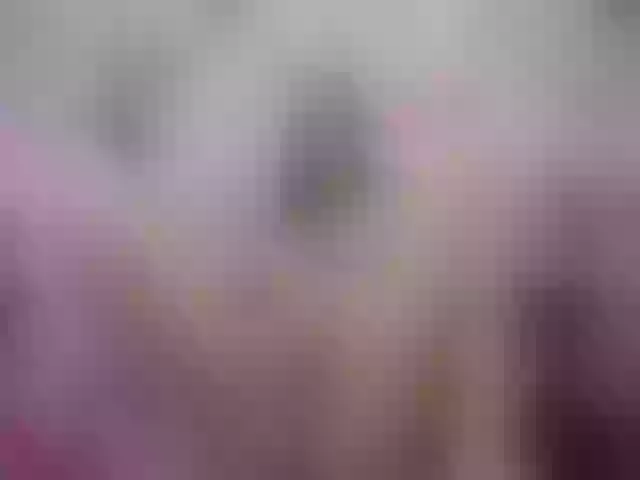 Live sex webcam photo for SexyAshley2x #263479886