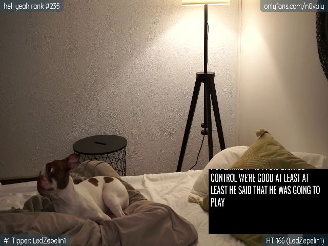 Live sex webcam photo for n0valy #257311228