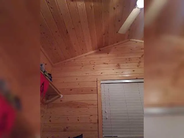 Live sex webcam photo for Prurient-Gem #252135023