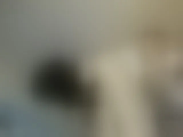 Live sex webcam photo for ego777me #287981562