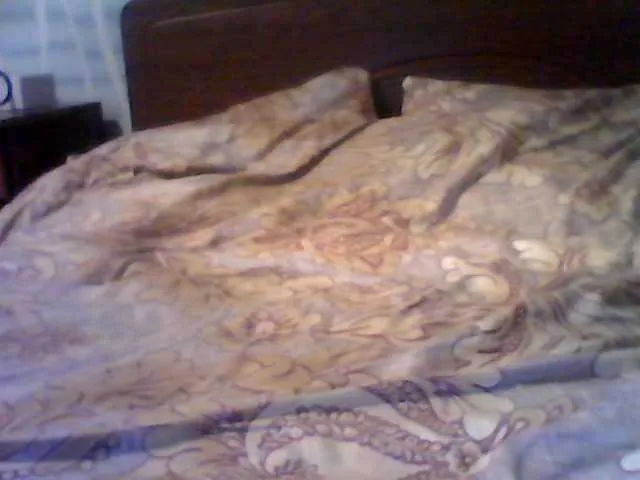 Live sex webcam photo for -Raven40- #241258883