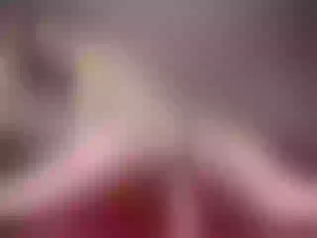 Live sex webcam photo for nicehotjob #248321335