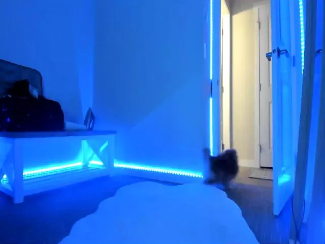 Live sex webcam photo for Mollyboots #255812877