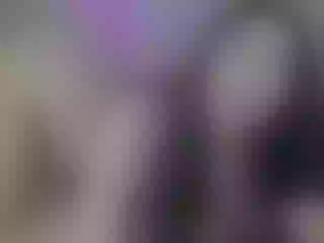 Live sex webcam photo for Girl-Pleasure #241321302