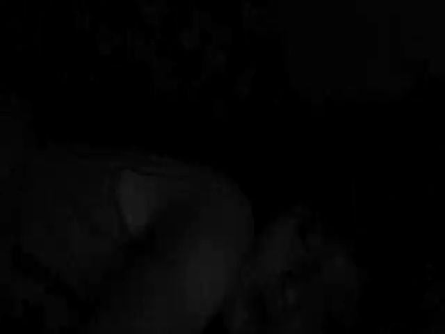 Live sex webcam photo for GuiltyKitty #262377595