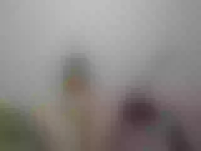 Live sex webcam photo for WildLadyHawke #253690083
