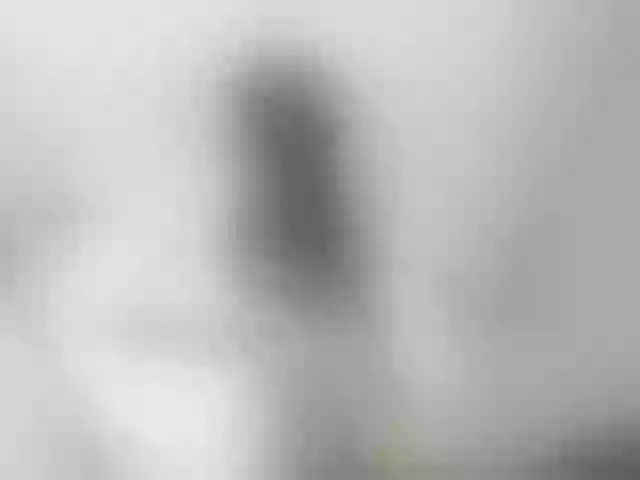 Live sex webcam photo for SuperSexyNat #262864684