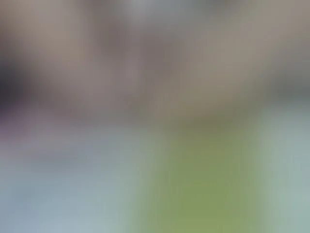 Live sex webcam photo for adri14-1 #242108189