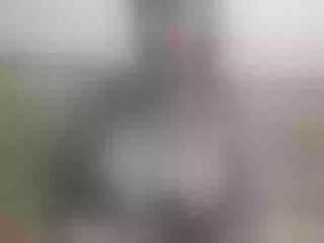 Live sex webcam photo for jannahot #263818928