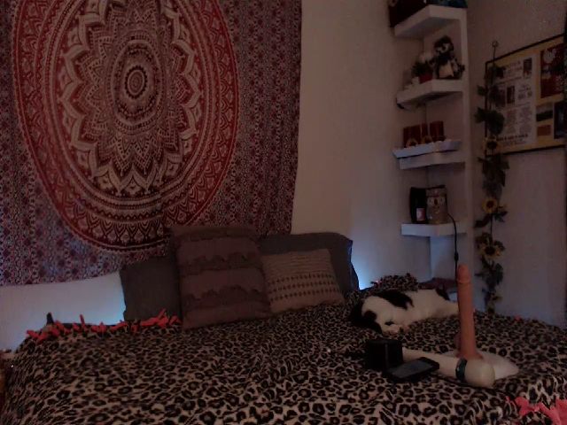 Live sex webcam photo for Missdankkitty #255899124