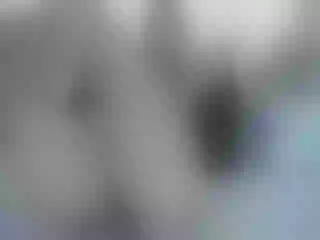 Live sex webcam photo for SUSYBALE #254804548