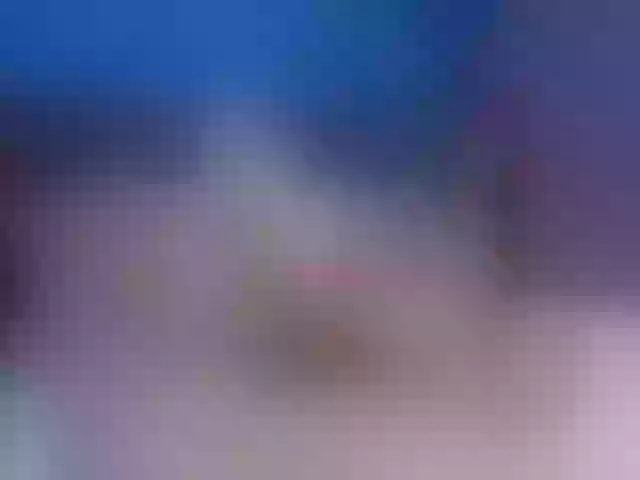 Live sex webcam photo for EmilyHill #259238817