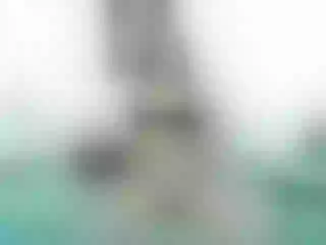 Live sex webcam photo for roseceleste #252185312