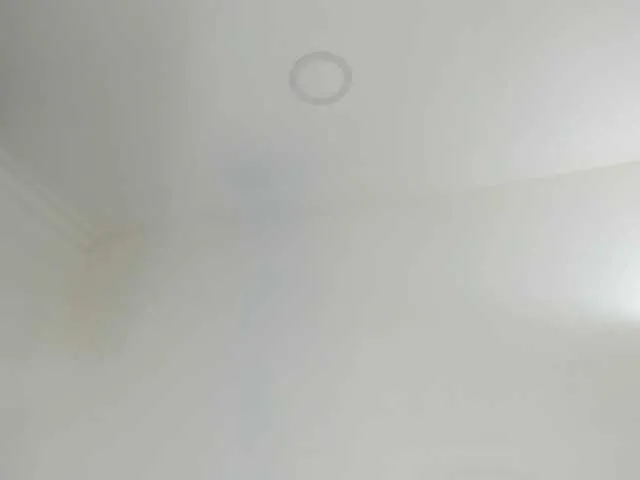 Live sex webcam photo for KellyBrooke #241069911