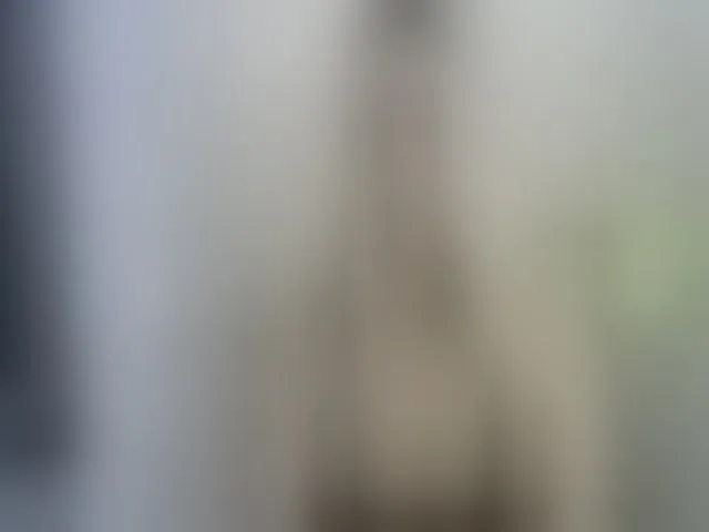 Live sex webcam photo for MyyDream #262263033