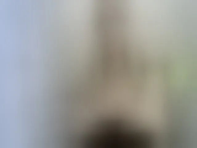 Live sex webcam photo for MyyDream #262280486