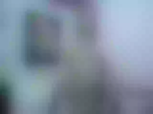 Live sex webcam photo for Anttonella_2 #255841314