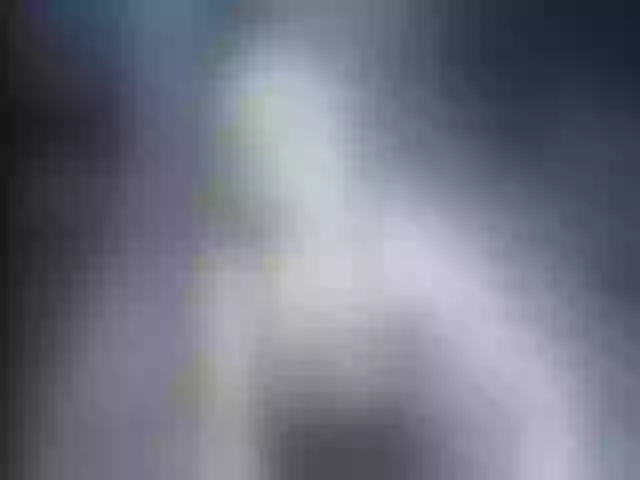 Live sex webcam photo for Ellaquality #254033848