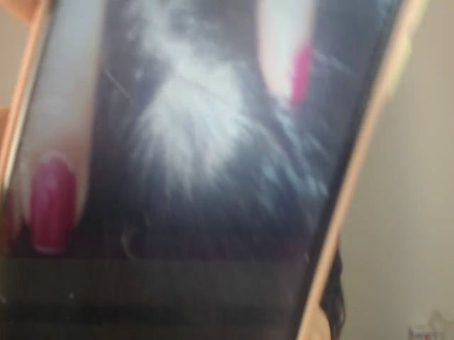 Live sex webcam photo for Selenaburning #256686924