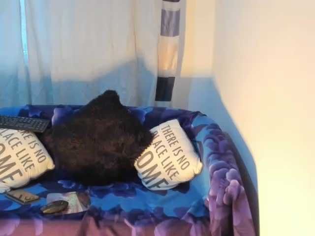 Live sex webcam photo for EllaRose29 #240908345