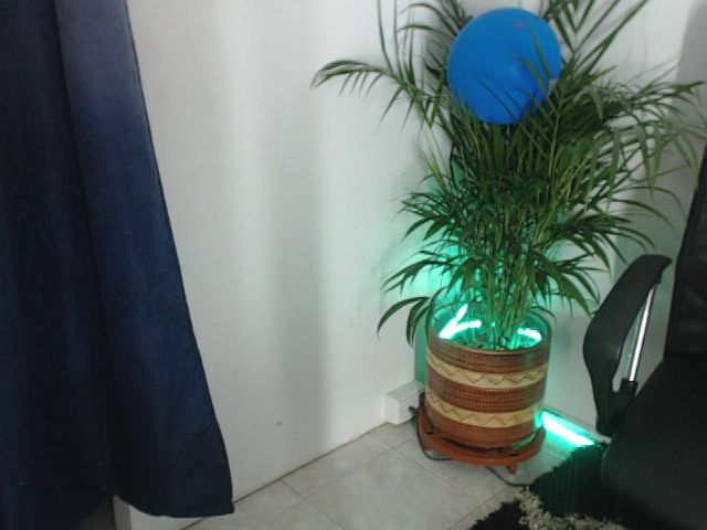 Live sex webcam photo for sophiie_fox #254340980