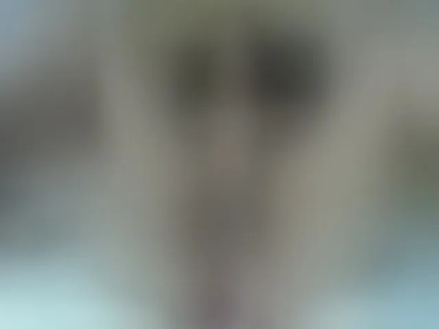 Live sex webcam photo for Mssburbuja #260471131