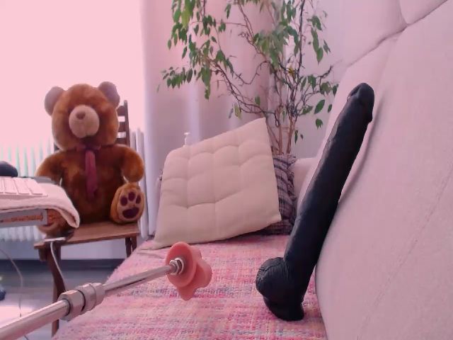 Live sex webcam photo for WildredheadCZ #255913036