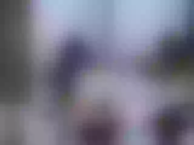 Live sex webcam photo for Helenetrix #257266968