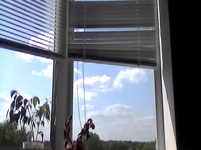 Live sex webcam photo for HotMakadamia #253414980