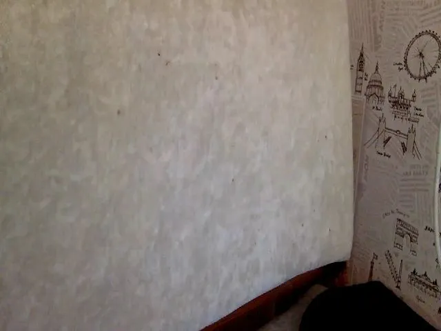 Live sex webcam photo for JolyBoss #261984312