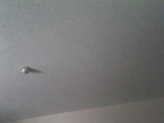 Live sex webcam photo for CocoaCat #263721791