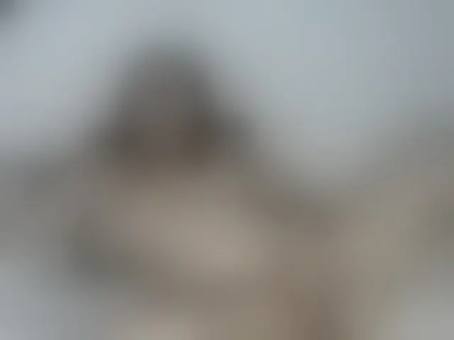 Live sex webcam photo for FantasyQueen #248504855