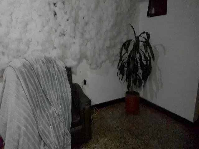 Live sex webcam photo for Sexnherbs #263965693