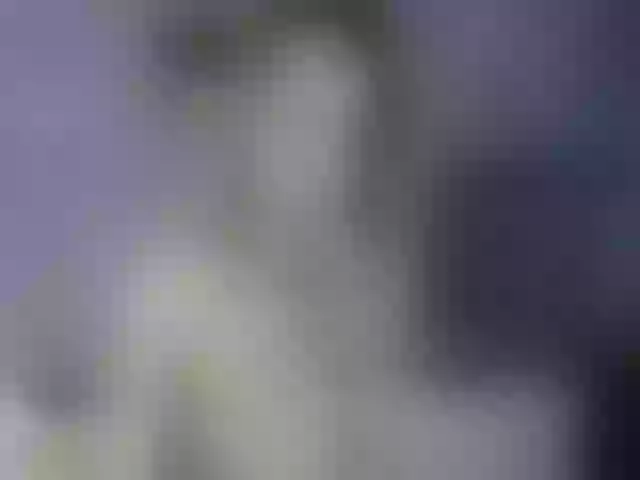 Live sex webcam photo for RubyFlame3 #256166148