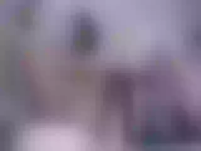 Live sex webcam photo for SexyAshley2x #253386672