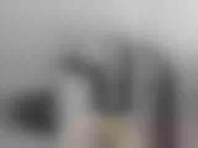 Live sex webcam photo for Youlalia #241574887
