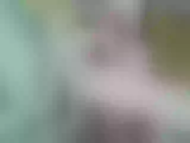 Live sex webcam photo for ElssaJohnson #263561671