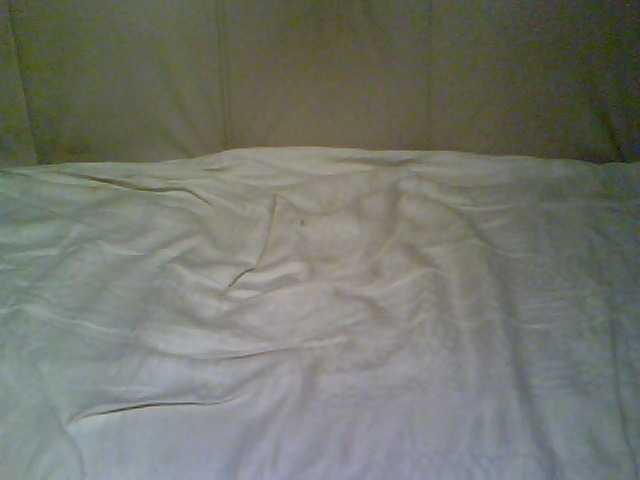 Live sex webcam photo for redcherry #249340648