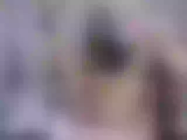 Live sex webcam photo for SexyAshley2x #252788155