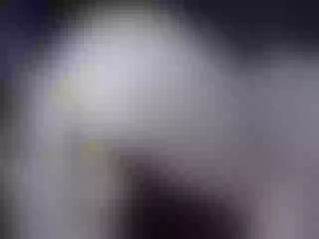 Live sex webcam photo for LoveAss55 #240887850