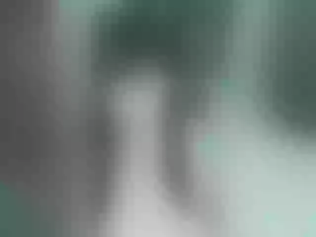 Live sex webcam photo for LeraFox #252883992