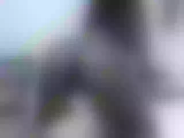 Live sex webcam photo for Leidysautss #265014763