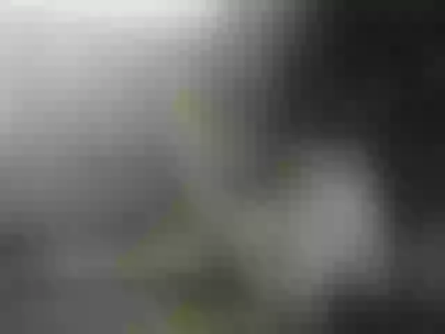 Live sex webcam photo for MulherBRRJ #240938884