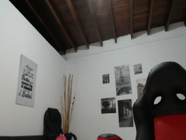 Live sex webcam photo for shalomheros #252607666