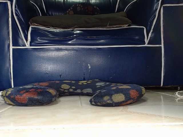 Live sex webcam photo for Alexia09 #240984214