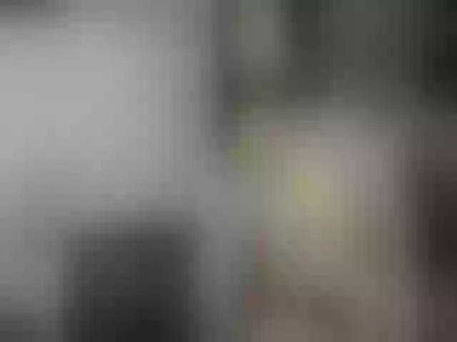 Live sex webcam photo for Sexnherbs #262841936