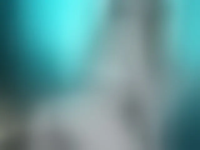 Live sex webcam photo for Pussy- #248359279